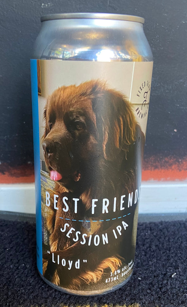 Best Friends Session IPA